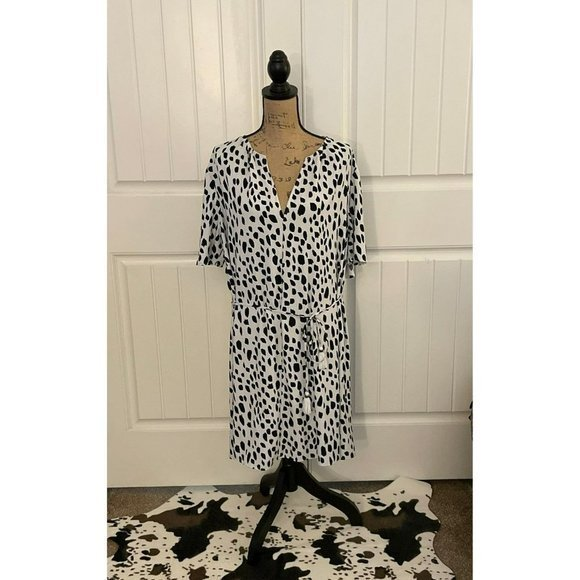 A‎ New Day Dress - Picture 1 of 7